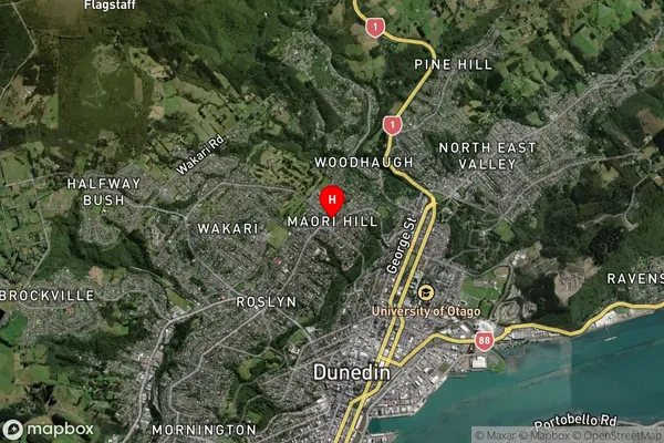 Maori Hill,Otago Satellite Map