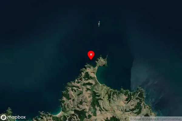 Ruruwhango Bay,Auckland Satellite Map