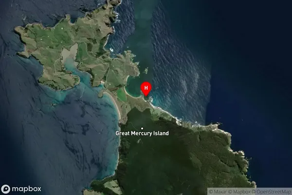 Te Koru Bay,Waikato Satellite Map