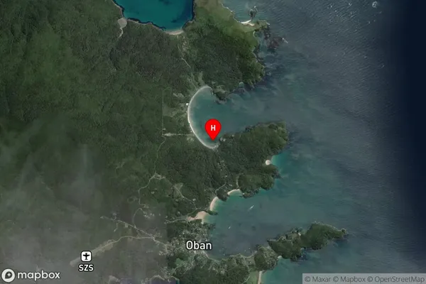 Torias Corner,Southland Satellite Map