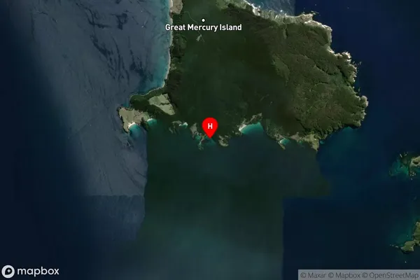 Whaler Cove,Waikato Satellite Map