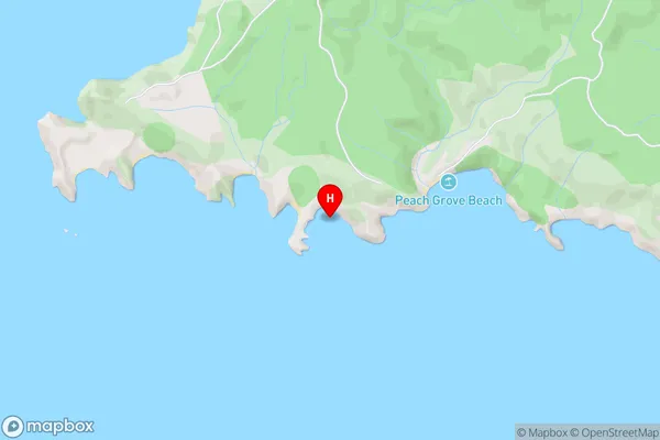 Whaler Cove,Waikato Area Map