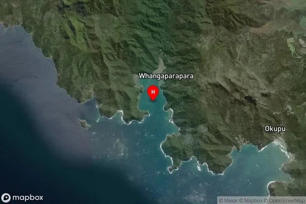 Whangaparapara Harbour,Auckland Satellite Map