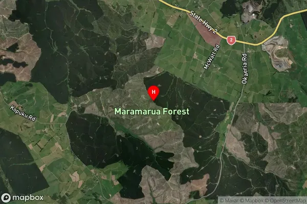 Maramarua Forest,Waikato Satellite Map