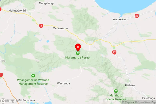 Maramarua Forest,Waikato Region Map