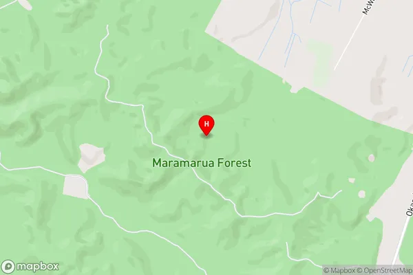 Maramarua Forest,Waikato Area Map