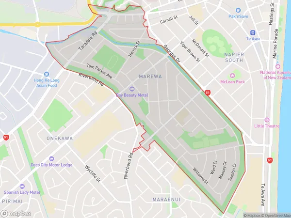 Marewa, Hawke's Bay Polygon Area Map