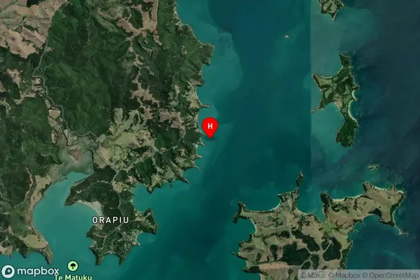 Silver Bay,Auckland Satellite Map