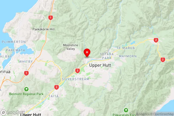 Riverstone Terraces,Wellington Region Map