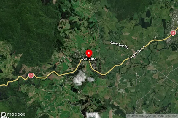 Waikino,Waikato Satellite Map