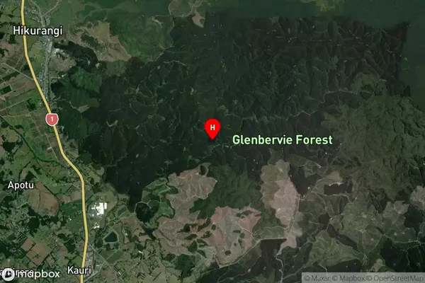 Glenbervie Forest,Northland Satellite Map