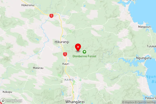 Glenbervie Forest,Northland Region Map