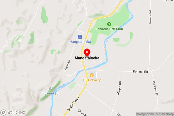 Mangatainoka,Manawatu-Wanganui Area Map