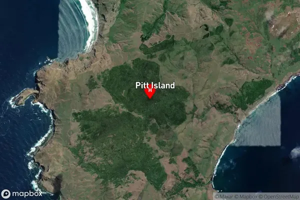 Pitt Island (Rangiauria), Satellite Map