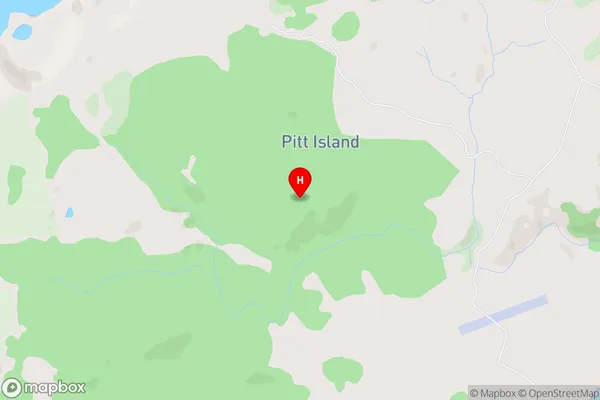 Pitt Island (Rangiauria), Area Map