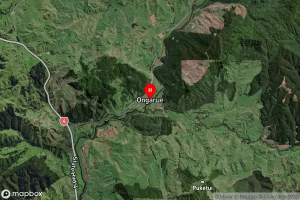 Ongarue,Manawatu-Wanganui Satellite Map