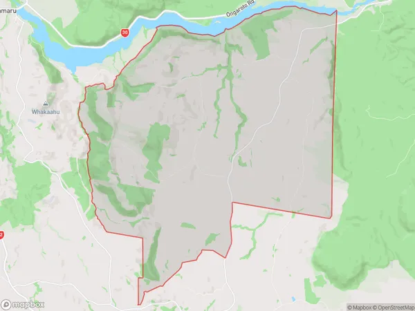 Tirohanga, Gisborne Polygon Area Map