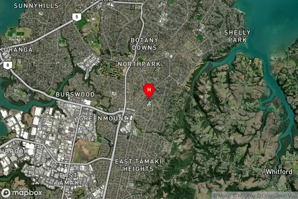 Shamrock Park,Auckland Satellite Map