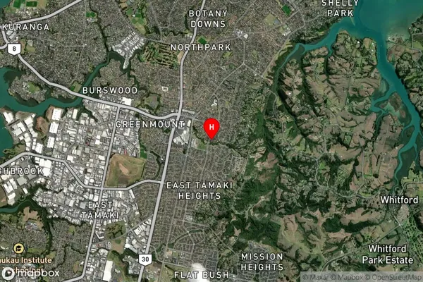 Dannemora,Auckland Satellite Map