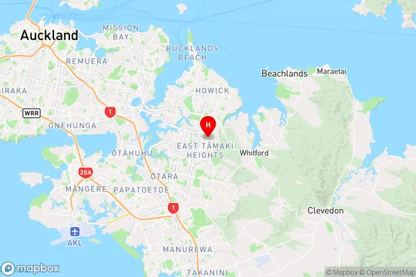 Dannemora,Auckland Region Map