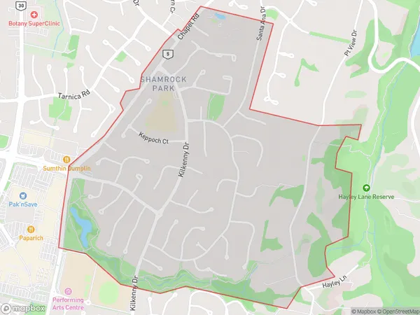 Dannemora, Auckland Polygon Area Map