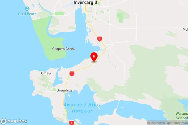 Awarua,Southland Region Map