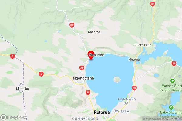 Puhirua Bay,Bay of Plenty Region Map