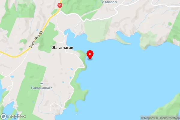 Onepoto Bay,Bay of Plenty Area Map