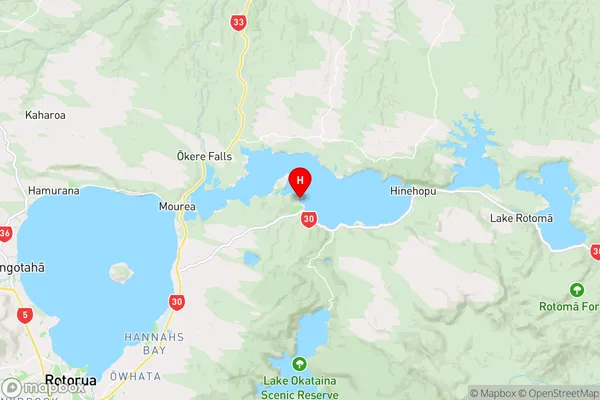 Tapuaekura Bay,Bay of Plenty Region Map