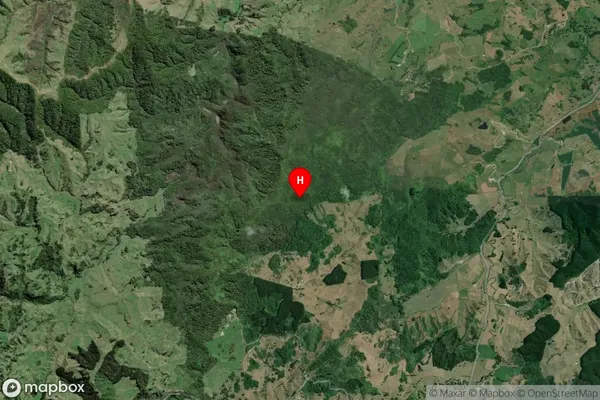 Matakana,Waikato Satellite Map