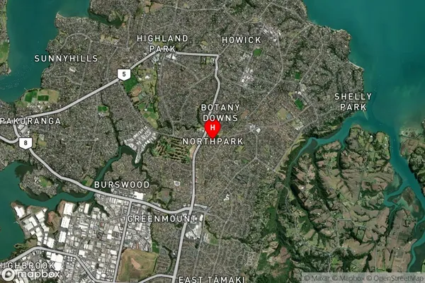 Northpark,Auckland Satellite Map