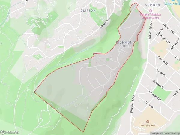 Richmond Hill, Canterbury Polygon Area Map