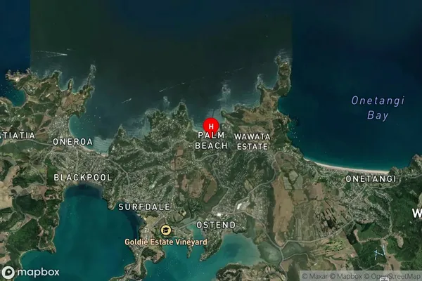 Palm Beach,Auckland Satellite Map