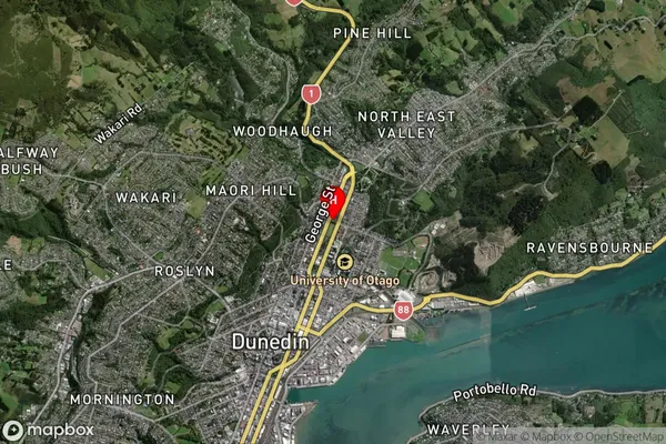 North Dunedin,Otago Satellite Map