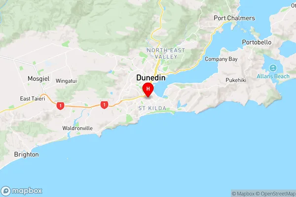 South Dunedin,Otago Region Map