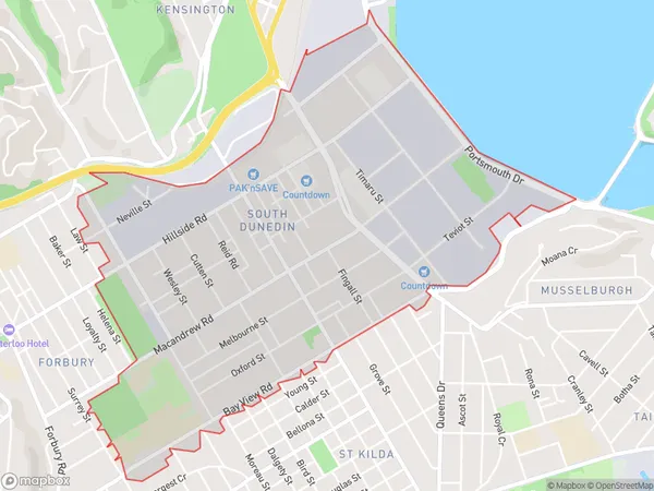 South Dunedin, Otago Polygon Area Map