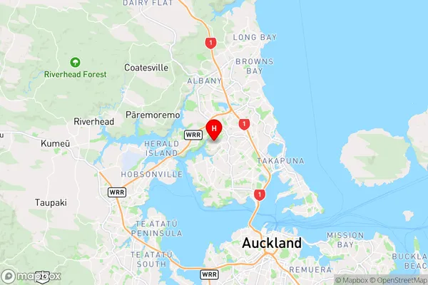 Bayview,Auckland Region Map