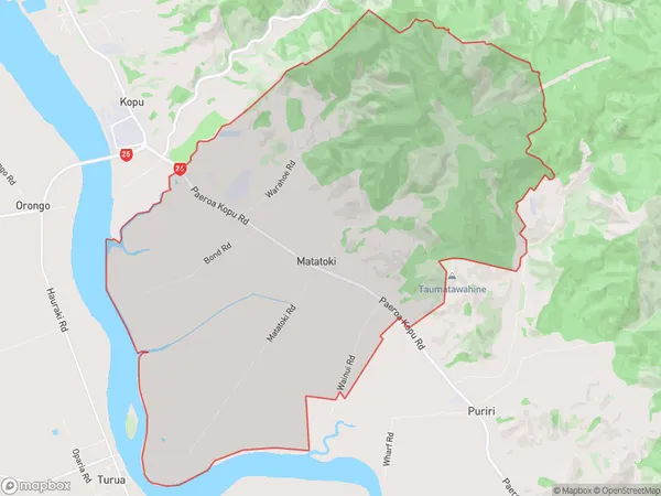 Matatoki, Waikato Polygon Area Map