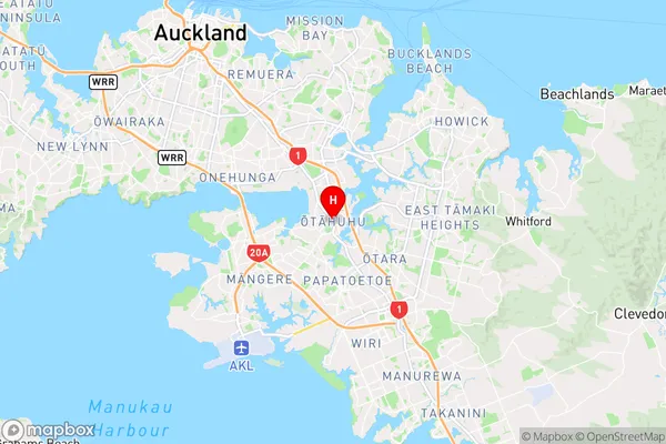 Otahuhu,Auckland Region Map