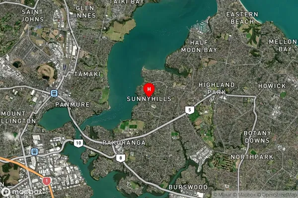 Sunnyhills,Auckland Satellite Map