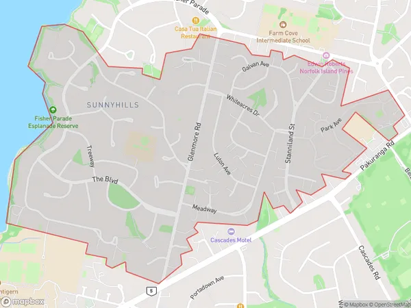 Sunnyhills, Auckland Polygon Area Map