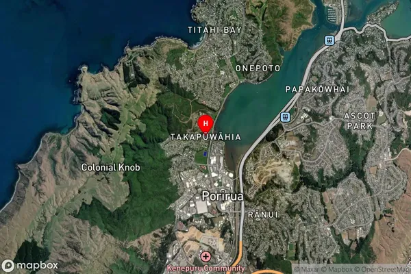 Takapuwahia,Wellington Satellite Map