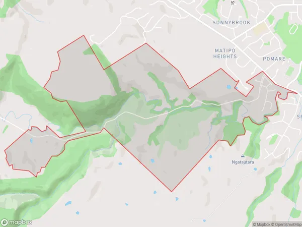 Matipo Heights, Bay of Plenty Polygon Area Map