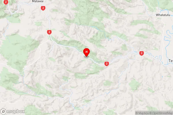 Otoko,Gisborne Region Map