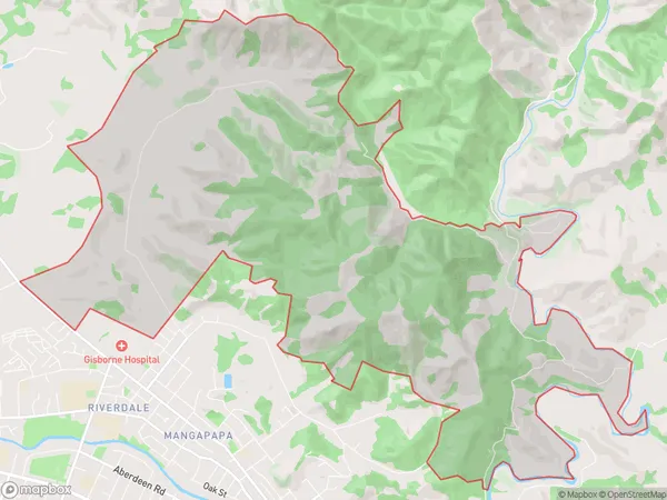 Matokitoki, Gisborne Polygon Area Map