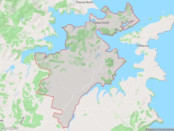 Pataua South, Northland Polygon Area Map