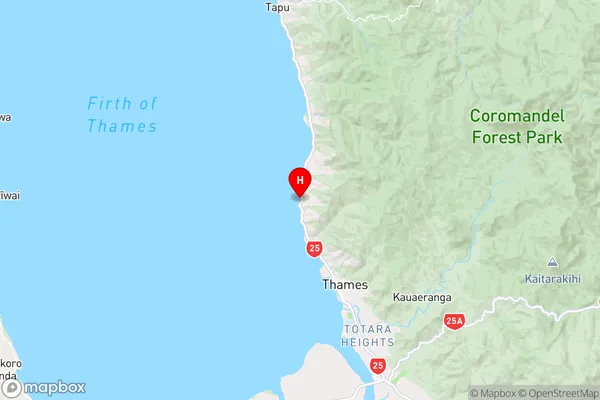 Loughlins Bay,Waikato Region Map