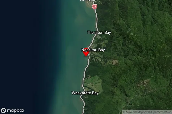 Woods Bay,Waikato Satellite Map