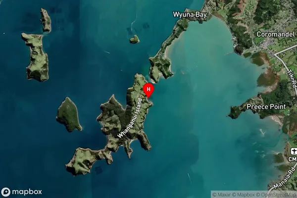 Aropawa Bay,Waikato Satellite Map