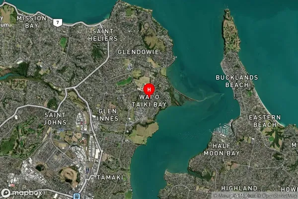 Wai o Taiki Bay,Auckland Satellite Map